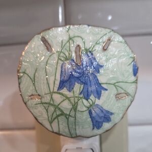 Sand Dollar Blue Bell The Legend Of Hope And Peace